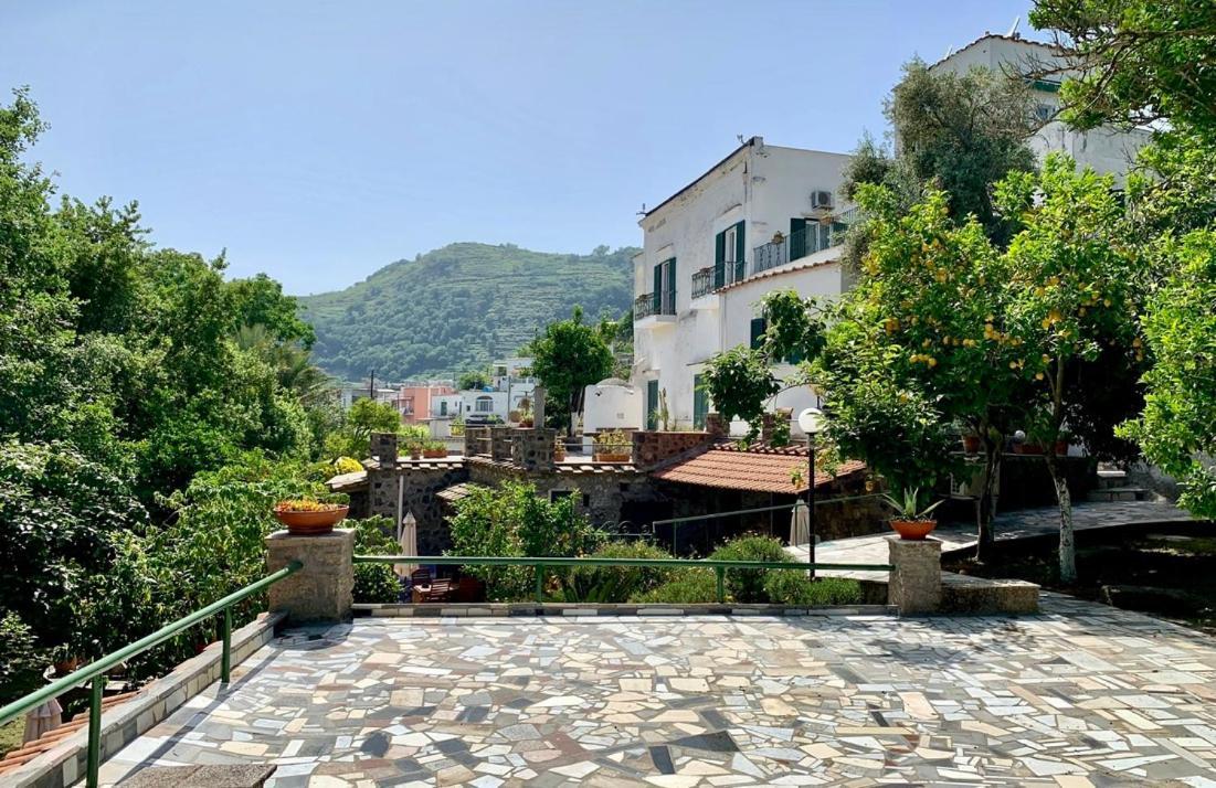 Villa Vincenzo Di Meglio Барано-д'Иския Экстерьер фото