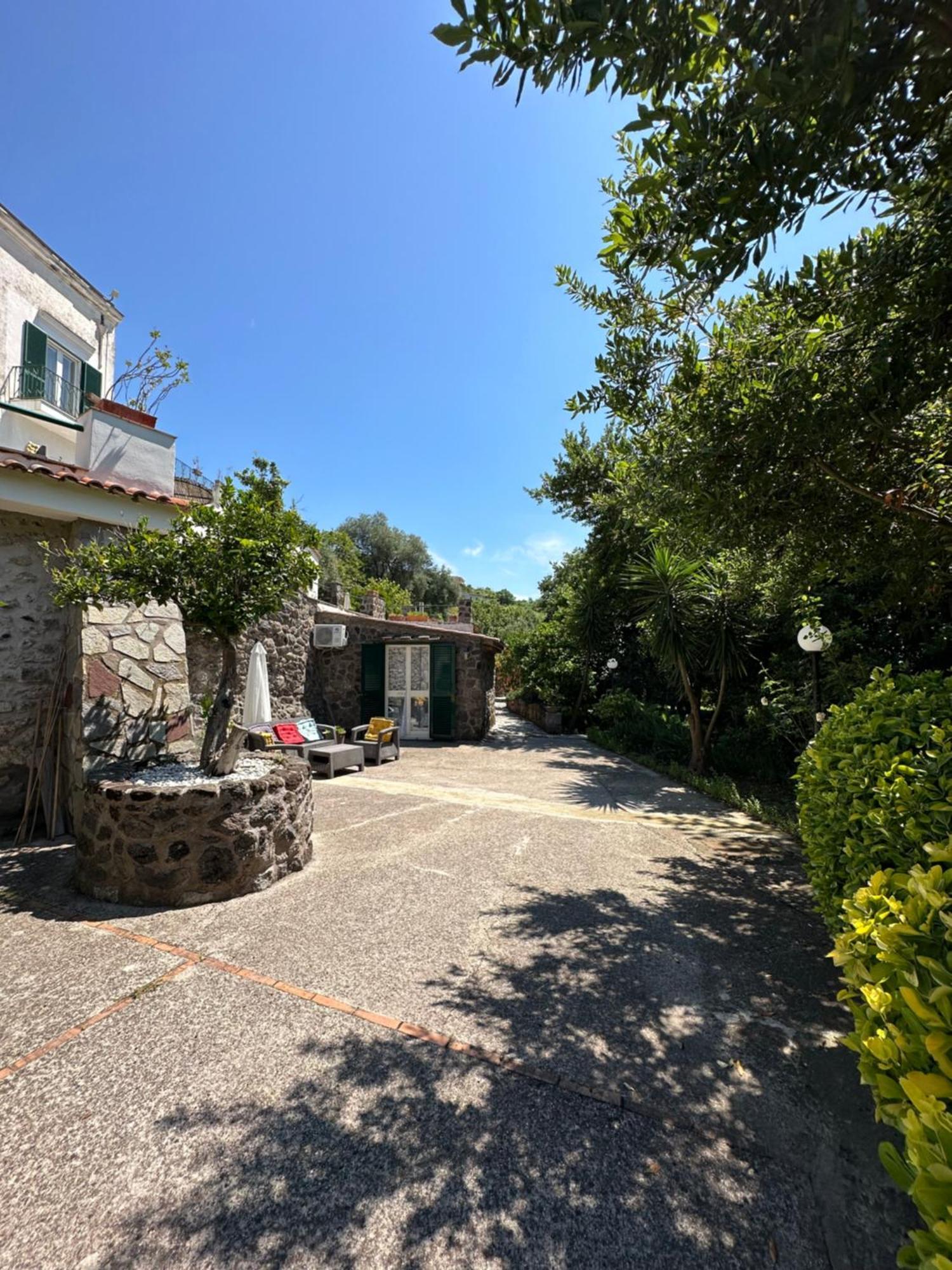 Villa Vincenzo Di Meglio Барано-д'Иския Экстерьер фото