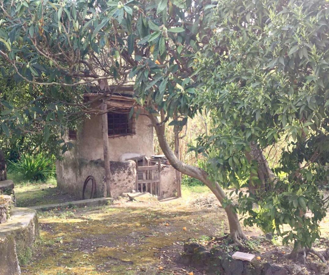 Villa Vincenzo Di Meglio Барано-д'Иския Экстерьер фото